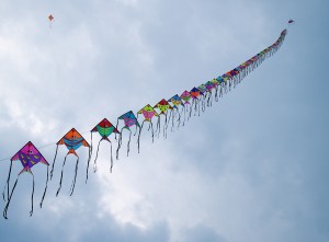 Kites