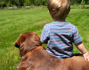 a boy and his dog